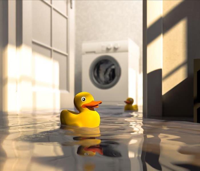 yellow toy duck floating on flood, washing machine