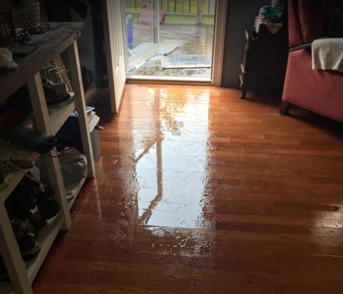 Standing water on living room floor