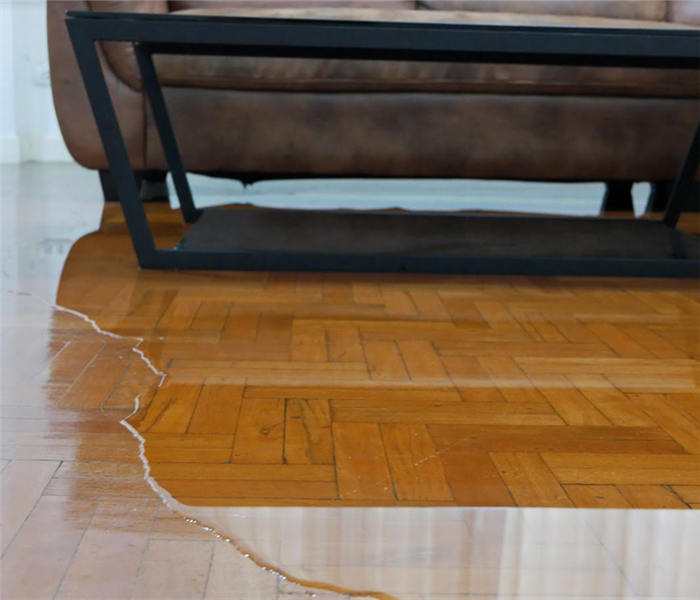 water leaking onto living room floor under a couch.